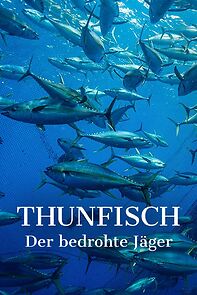 Watch Thunfisch - Der bedrohte Jäger