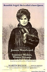 Watch Summer Wishes, Winter Dreams