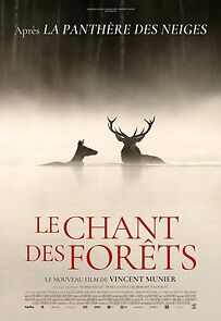 Watch Le chant des forêts