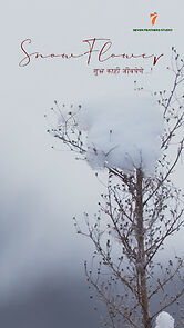 Watch Snow Flower