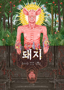 Watch Gujeyeog-eseo sal-a dol-aon dwaeji