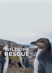 Watch Wildlife Rescue New Zealand