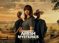 Watch Sugarcreek Amish Mysteries: Blessings in Disguise