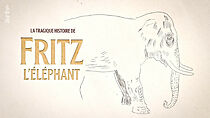 Watch La tragique histoire de Fritz l'éléphant