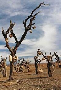 Watch The Oldman and His Garden of Stones (Short 2004)