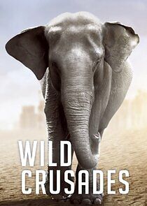 Watch Wild Crusades