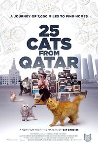 Watch 25 Cats from Qatar