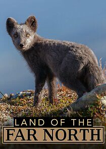 Watch Polartag/Polarnacht