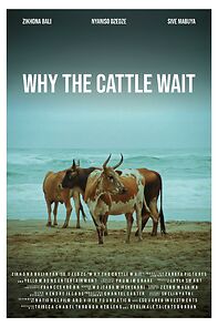 Watch Why the Cattle Wait (Short 2024)