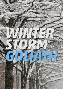 Watch Winter Storm Goliath
