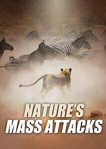 Watch Nature's Mass Attacks