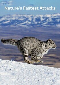 Watch Nature's Fast Attacks