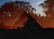 Watch Archipelago of Earthen Bones - To Bunya (Short 2024)