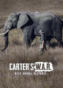 Watch Carter's W.A.R. (Wild Animal Response)