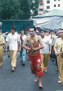 Watch Social diary of a spirit medium (Short 2016)