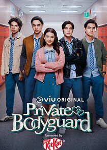 Watch Private Bodyguard