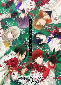 Watch Hana-Doll*: Reinterpretation of Flowering