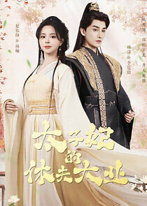 Watch Tai Zi Fei De Xiu Fu Da Ye