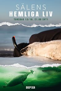 Watch The Secret Life of Seals