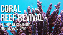 Watch A Coral Reef Revival (Short 2016)