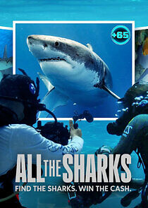Watch All the Sharks