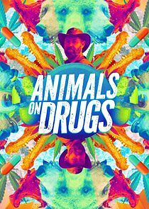Watch Animals on Drugs