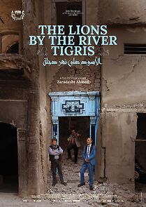 Watch The Lions by the River Tigris