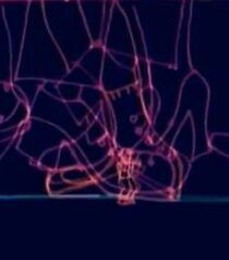 Watch Tiny (Short 2003)