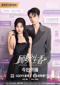 Watch Blend Feelings