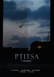 Watch Ptitsa (Short 2022)