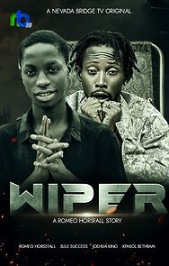 Watch Wiper
