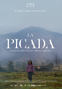 Watch La Picada