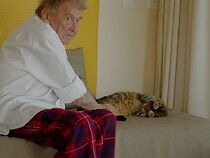 Watch Où en êtes-vous: Jean-Marie Straub? (Short 2016)