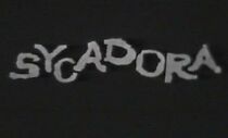 Watch Sycadora (Short 1951)