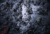 Watch Förövare (Short 2016)