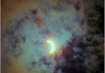 Watch Polly One (Short 2018)