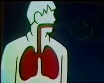 Watch Health for the Americas: How Disease Travels (Short 1945)