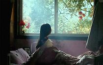 Watch The Tale of Pomegranate