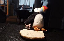 Watch Bernard Man: Rise of the Crab People