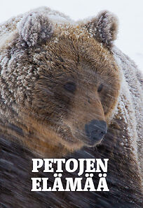 Watch Petojen elämää