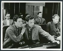 Watch The Millionaire Vagrant