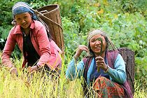 Watch Life style of hilly region people.