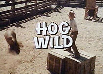 Watch Hog Wild
