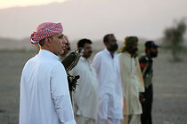 Watch Disarming Falcons (Short 2013)