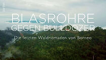 Watch Blasrohre gegen Bulldozer