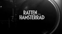 Watch Ratten im Hamsterrad (Short 2015)