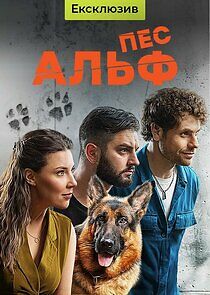 Watch Пес Альф