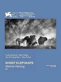 Watch Ghost Elephants
