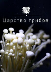 Watch Царство грибов