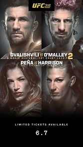 Watch UFC 316: Dvalishvili vs. O'Malley 2 in COSM Shared Reality